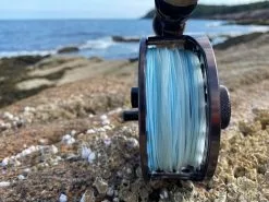 Cortland Compact Intermediate Blitz Fly Line -Roofvis Shop Cortland Compact intermediate Blitz Fly Line D340020 XX img 4376 1200x