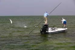 Cortland Liquid Crystal Guide Tropic Salt Floating Fly Line -Roofvis Shop Cortland Liquid Crystal Guide Tropic Salt Fly Line D340030 XX inter3 92936b4c 78bc 4e91 8912 910d7d939c72 1200x