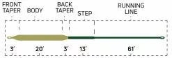 Cortland Pike Musky Fly Line -Roofvis Shop Cortland Pike Musky Fly Line D34011XX pikemuskyintermediate specialtyseries taperchart