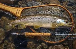 Douglas Sky G Fly Rod -Roofvis Shop Douglas Sky G Fly Rod DOUGLASSKYG XXX 1schermafbeelding 2023 01 11 om 11.53