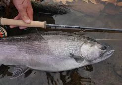 Douglas Sky G Fly Rod -Roofvis Shop Douglas Sky G Fly Rod DOUGLASSKYG XXX 4schermafbeelding 2023 01 11 om 11.54