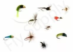 Euro Flies Airlite Nymph & Dry Rod #3 – 10ft Complete Set -Roofvis Shop Euro Flies Airlite Nymph Dry Rod 3 10ft Complete Set EF AIRLITESET 3 10ft dsc09459 bewerkt