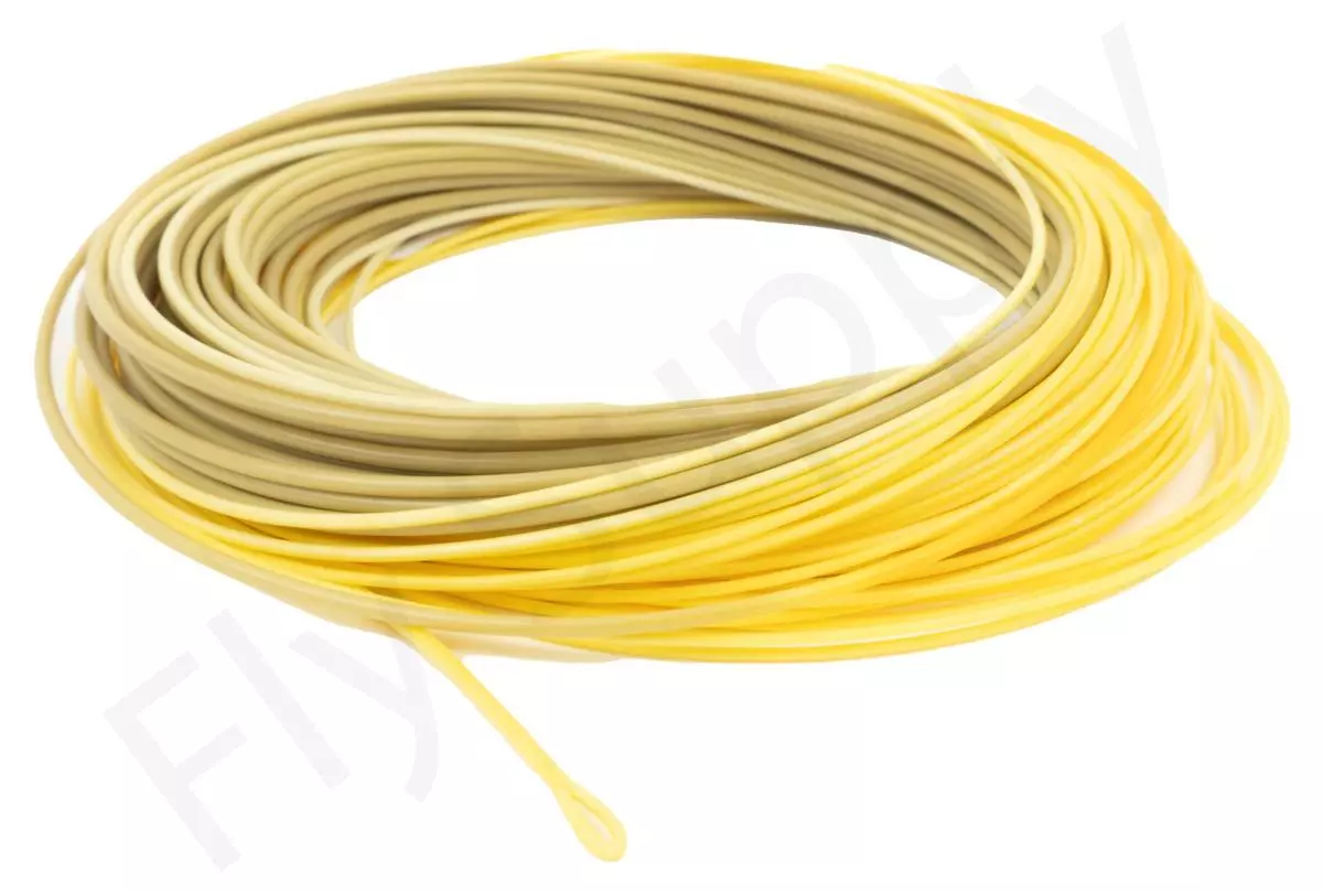 Euro Flies Presentation WF Floating Fly Line 5 Euro Flies Presentation WF Floating Fly Line - Image 5