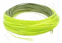 Euro Flies Presentation WF Floating Fly Line 10 Euro Flies Presentation WF Floating Fly Line -Roofvis Shop Euro Flies Presentation WF Floating Fly Line EF WFPRES XXX dsc06449 bewerkt