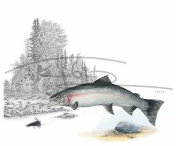 Picture Postcard By Thomas Kubitz