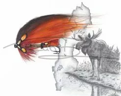 Picture Postcard By Thomas Kubitz -Roofvis Shop Picture Postcard By Thomas Kubitz PPOSTCARD X like20the20sun20sweden 3