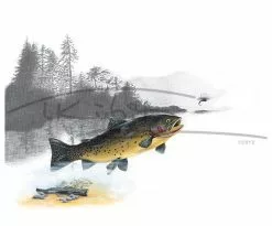 Picture Postcard By Thomas Kubitz -Roofvis Shop Picture Postcard By Thomas Kubitz PPOSTCARD X twilight20hunter 3