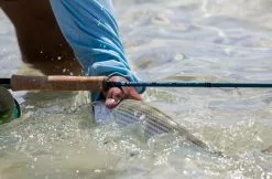 Redington Predator II Fly Rod -Roofvis Shop Redington Predator II Fly Rod 05 851 XX knipsel4