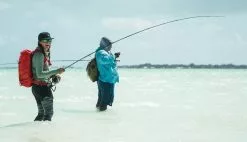 Redington Predator II Fly Rod -Roofvis Shop Redington Predator II Fly Rod 05 851 XX knipsel6