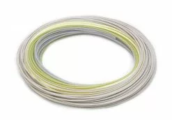 Rio Elite Predator Fly Line -Roofvis Shop Rio Elite Predator Fly Line 12 9479 XXX fw elite predator fhi coil 1