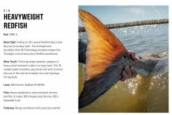 SAGE Salt R8 Fly Rod -Roofvis Shop SAGE Salt R8 Fly Rod 03 17 XXX 13 1