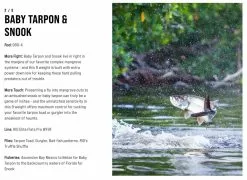 SAGE Salt R8 Fly Rod -Roofvis Shop SAGE Salt R8 Fly Rod 03 17 XXX 9 1