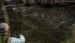 SAGE Sense Fly Rod -Roofvis Shop SAGE Sense Fly Rod SAGESENSEROD XXX sense tube2