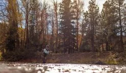 SAGE Sense Fly Rod -Roofvis Shop SAGE Sense Fly Rod SAGESENSEROD XXX sense tube3