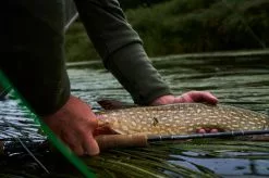 Sage R8 Core Fly Rods -Roofvis Shop Sage R8 Core Fly Rods 03 1600 XX r8 core product lifestyle imagery 4 of 8 2