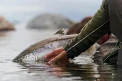 Sage R8 Core Fly Rods -Roofvis Shop Sage R8 Core Fly Rods 03 1600 XX r8 core product lifestyle imagery 5 of 8 2