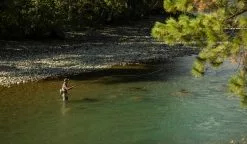 Sage Sonic Fly Rod -Roofvis Shop Sage Sonic Fly Rod SONICROD XXX 10b45b39 1269 42eb bb7c 3d05ad10c4e4 2