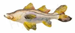 Snook Large Hand Painted Pin
