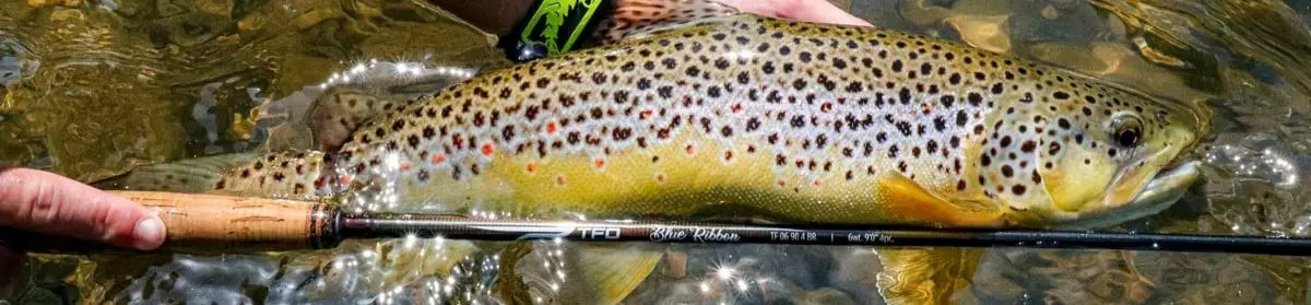 TFO Blue Ribbon Fly Rod 4pc Including Rod Tube 3 TFO Blue Ribbon Fly Rod 4pc Including Rod Tube - Image 3