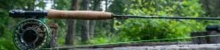 TFO LK Legacy Fly Rod 4pc Including Rod Tube -Roofvis Shop TFO LK Legacy Fly Rod 4pc Including Rod Tube TFO LEGACY XXX tfo legacy banner 4