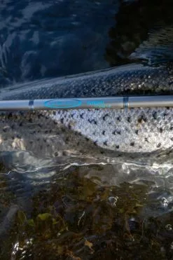 Vision Meri 4pc Fly Rod -Roofvis Shop Vision Meri 4pc Fly Rod VRI49XXX photobyroberthansson 16 scaled 1