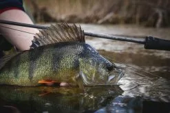 Vision Merisuola Predator Rod -Roofvis Shop Vision Merisuola Predator Rod VMG49 XXX at2a4769