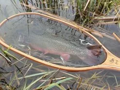 Winston PURE Fly Rod -Roofvis Shop daniel20april20201920medium