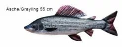 Textile Fish Pillow -Roofvis Shop grayling 3